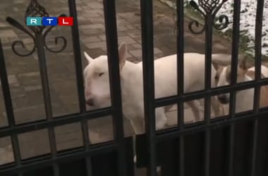 Thumbnail for 6840451