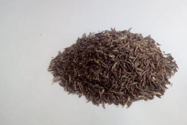 Thumbnail for 6840455