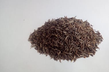 Thumbnail for 6840455