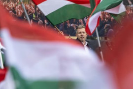 Thumbnail for 6840828