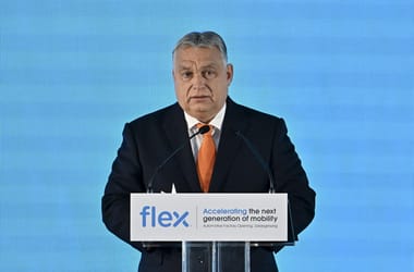 Thumbnail for 6842002