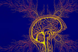 Thumbnail for 6842079