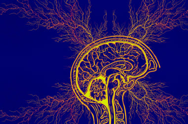 Thumbnail for 6842079