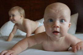 Thumbnail for 6842447