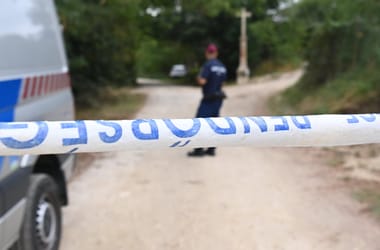 Thumbnail for 6842469