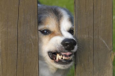 Thumbnail for 6842586