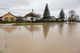 Thumbnail for 6842944