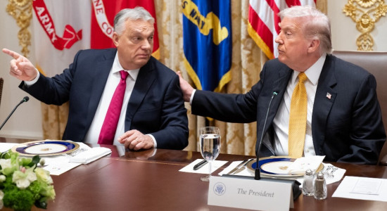 Thumbnail for 6843138