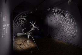 Thumbnail for 6843192