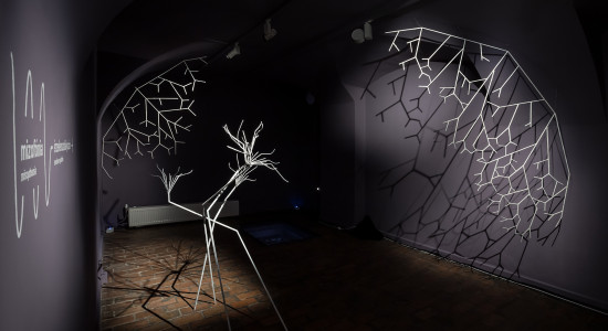 Thumbnail for 6843192