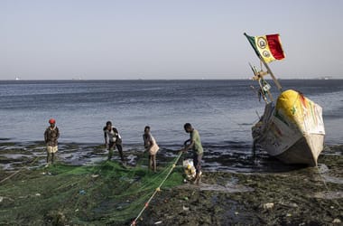 Thumbnail for 6843291