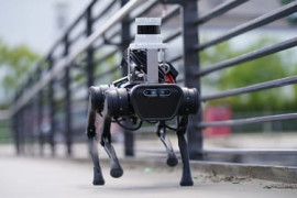 Thumbnail for 6843382