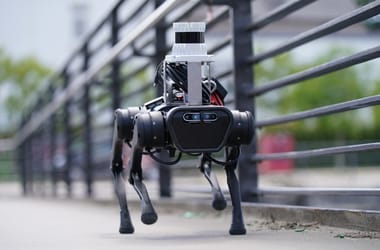 Thumbnail for 6843382