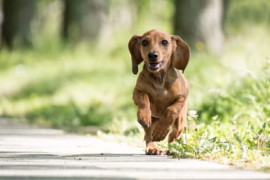 Thumbnail for 6843487