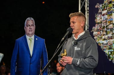 Thumbnail for 6843697