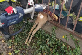 Thumbnail for 6843772