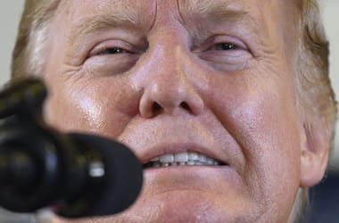 Thumbnail for 6843865