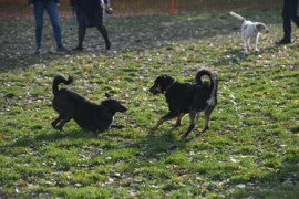 Thumbnail for 6844228