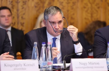 Thumbnail for 6844382