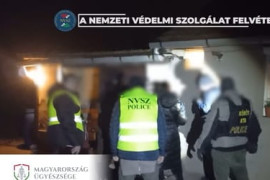 Thumbnail for 6844499