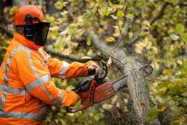 Thumbnail for 6844813