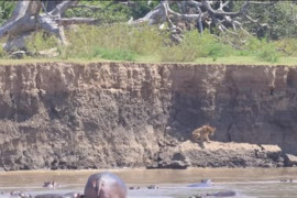 Thumbnail for 6845212