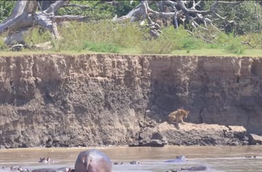 Thumbnail for 6845212