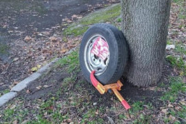 Thumbnail for 6845926