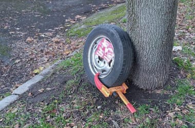 Thumbnail for 6845926