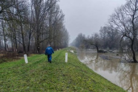 Thumbnail for 6845945