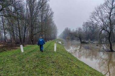 Thumbnail for 6845945