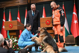 Thumbnail for 6846072