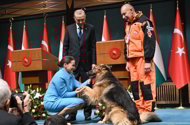 Thumbnail for 6846072