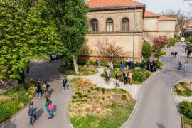 Thumbnail for 6846087