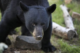 Thumbnail for 6846198