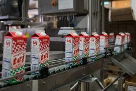 Thumbnail for 6846305