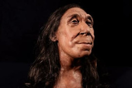 Thumbnail for 6846978