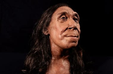 Thumbnail for 6846978