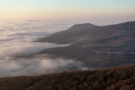 Thumbnail for 6847398