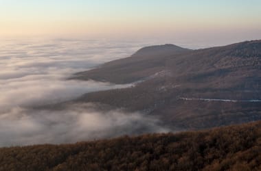 Thumbnail for 6847398