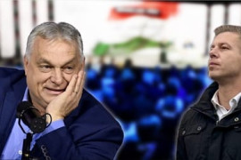 Thumbnail for 6848279