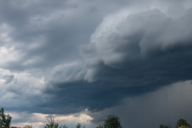 Thumbnail for 6848330