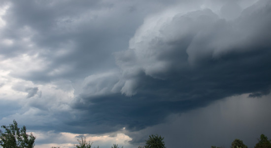 Thumbnail for 6848330