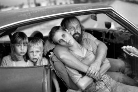 Thumbnail for 6848749