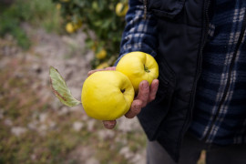 Thumbnail for 6848825