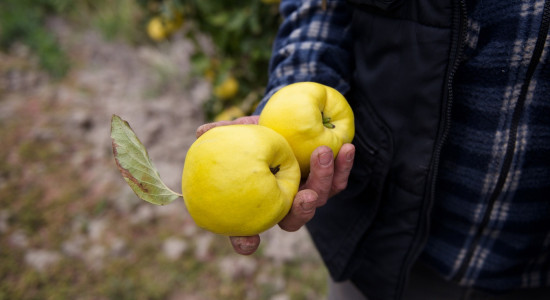 Thumbnail for 6848825