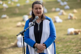 Thumbnail for 6848830