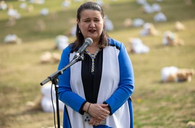 Thumbnail for 6848830