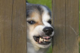 Thumbnail for 6849280