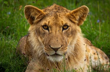 Thumbnail for 6849503